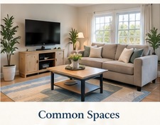 Comfortable shared living area